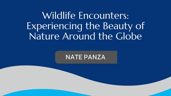 Wildlife Encounters: Experiencing the Beauty of Nature Around the Globe